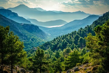 Fototapeta premium Mountain, Greece, with emerald shining sea and thick pine forest.