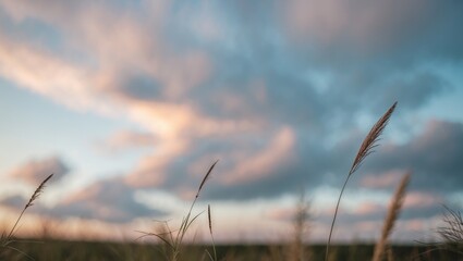 Obraz premium Serene Blurry Landscape Featuring Grasses Against A Cloudy Sky With Soft Color Hues Creating A Peaceful Atmosphere