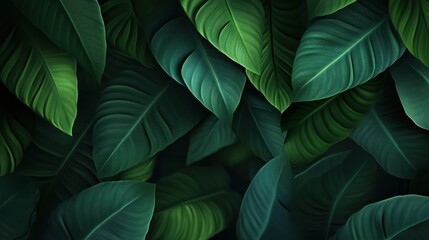 A close-up view of various green leaves creating a lush, textured background.