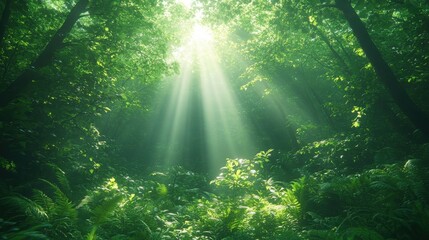 Obraz premium Tranquil forest bathed in soft sunlight, earthy tones blending harmoniously, evoking peace and natural serenity.