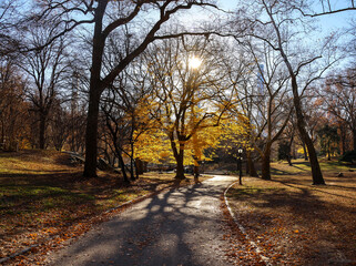Central Park, New York City, golden hour on a cold December afternoon.