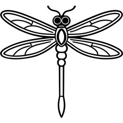 Stylized Dragonfly Drawing with Detailed Wings and Body