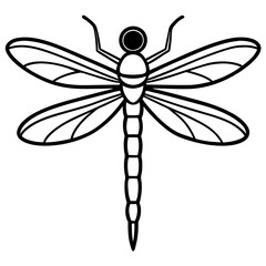 Stylized Dragonfly Drawing with Detailed Wings and Body