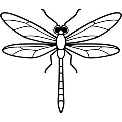 Stylized Dragonfly Drawing with Detailed Wings and Body