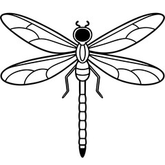 dragonfly on white background