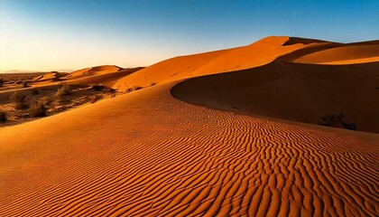 Endless Golden Dunes Under the Warm Desert Sun