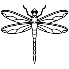 Stylized Dragonfly Drawing with Detailed Wings and Body