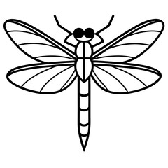 Stylized Dragonfly Drawing with Detailed Wings and Body