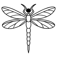 dragonfly on a white background