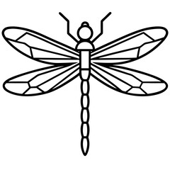 Stylized Dragonfly Drawing with Detailed Wings and Body
