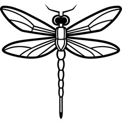 Stylized Dragonfly Drawing with Detailed Wings and Body