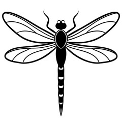 Stylized Dragonfly Drawing with Detailed Wings and Body