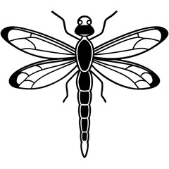 Stylized Dragonfly Drawing with Detailed Wings and Body