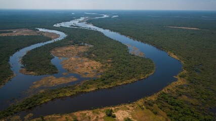 Aerial View of the Pantanal Wetlands with Meandering Rivers and Lush Greenery Under Clear Blue Skies