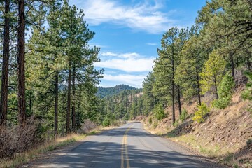 Fototapeta premium A deserted road flanked on both sides by pine forests under a blue sky.