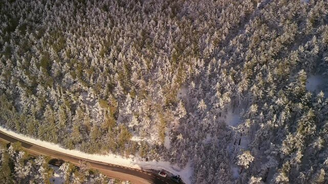 View from above of a snowy forest in Spain