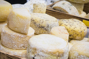 Fresh yellow or blue cheese with spices for sale on stall or in grocery shop