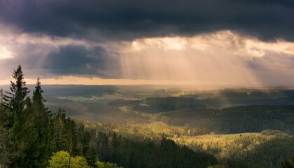 Fototapeta premium A journey through the light leads to new beginnings. 