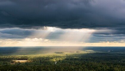 Fototapeta premium The glow of the sky creates an enchanting pathway. 