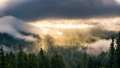 Obraz premium Unveil the mysteries hidden in the light of the heavens. 