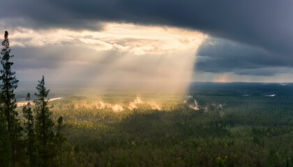 Fototapeta premium Embrace the tranquil beauty of a light-filled sky. 