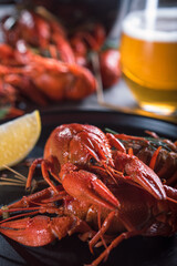 Boiled crayfish on a black plate with a slice of lemon and a glass of beer on the table. Close-up.