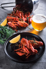 Boiled crayfish on a black plate with a slice of lemon and herbs with a glass of beer on the table. Side view.