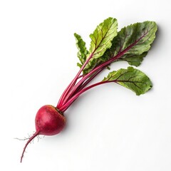 bunch of radishes