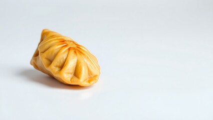Delicious dumpling showcasing traditional folding technique on plain background