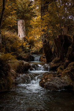 waterfall in the forest