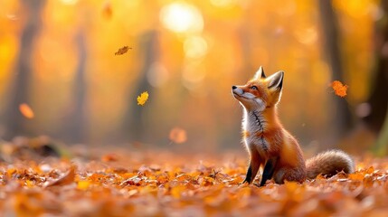 Autumn Red Fox Silhouette in Warm Golden Light against Soft Fading Tree Branches