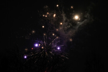 Small amatuer new years firework shooting fireworks.
