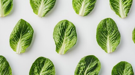 Obraz premium Fresh Green Lettuce Leaves Arranged in a Clean Bowl Style