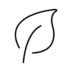 Leaf Icon Design