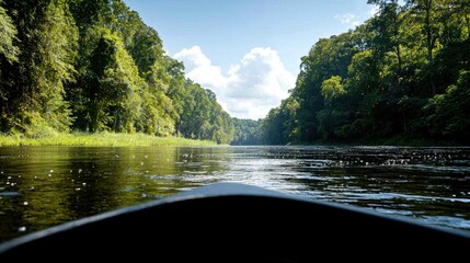 Naklejka premium River boating, lush green forest, sunny day, calm water, travel escape