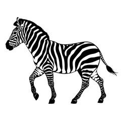 Intricate Zebra Vector – Detailed Black and White Animal Drawing