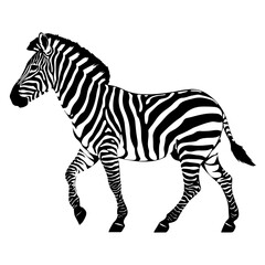 Intricate Zebra Vector – Detailed Black and White Animal Drawing