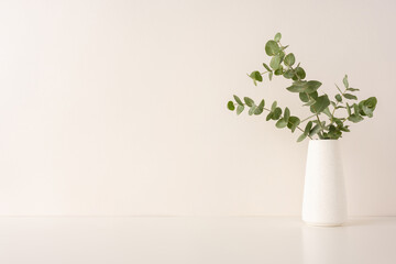 Eucalyptus branches arranged in a minimalist white vase with a neutral background. This simple...