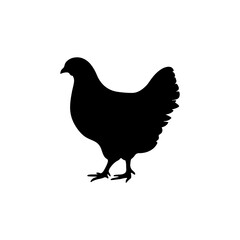 Hen silhouette vector illustration on white background