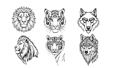 Collection of three animal head, Lion, Tiger, Wolf, Vector illustration.