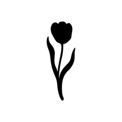 Tulip silhouette vector illustration on white background