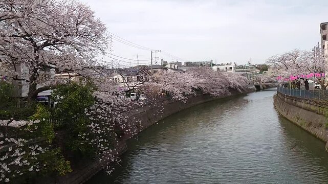日本寺院風景