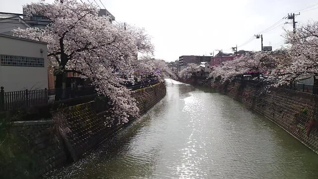 日本寺院風景