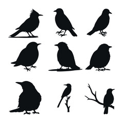 bird silhouette collection on white background vector, black bird designs for minimalist decor, abstract avian vector shapes