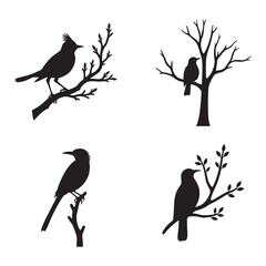 bird silhouette set on tree branches vector, diverse bird shapes perched on trees, black bird vector collection