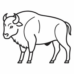 Simple a Bison line art vector white background