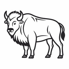 Simple a Bison line art vector white background