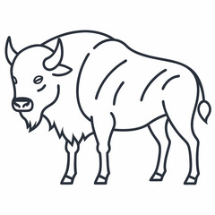 Simple a Bison line art vector white background