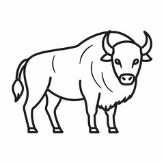 Simple a Bison line art vector white background