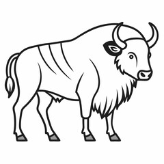 Simple a Bison line art vector white background